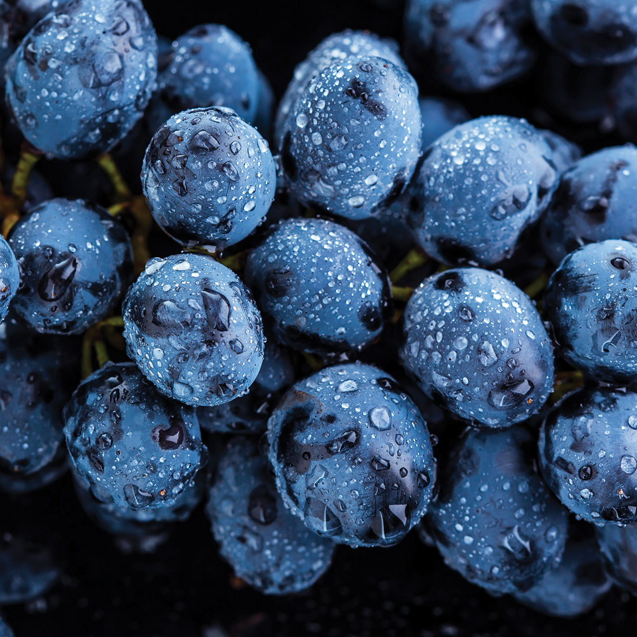 I benefici degli zuccheri naturali estratti dalla frutta - Bagnatrese Spa