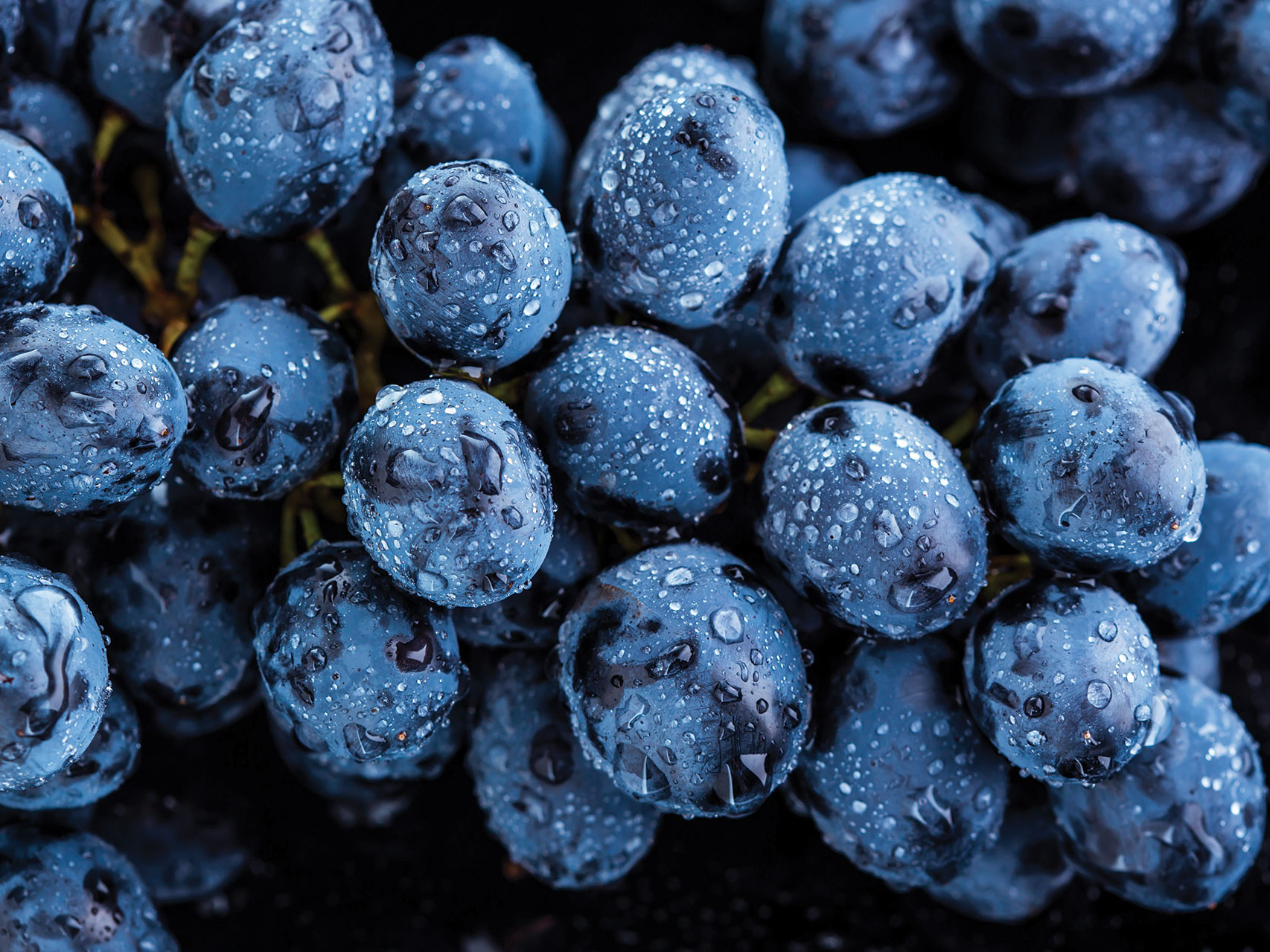 The benefits of natural sugars extracted from fruit - Bagnatrese Spa