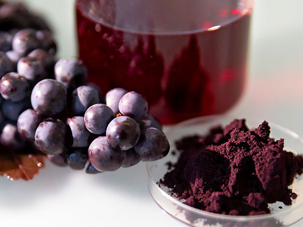 Coloranti Alimentari Naturali di Altissima Qualità | BAGNARESE SpA