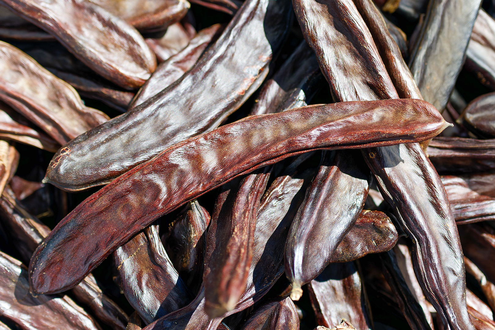 Zucchero di Carruba ottenuto dalla polpa dei baccelli di carrubo - Bagnarese Spa