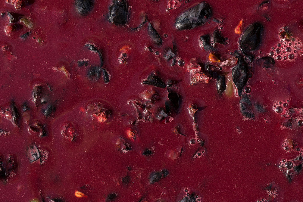 Produzione di mosto d'uva concentrato - BAGNARESE SpA